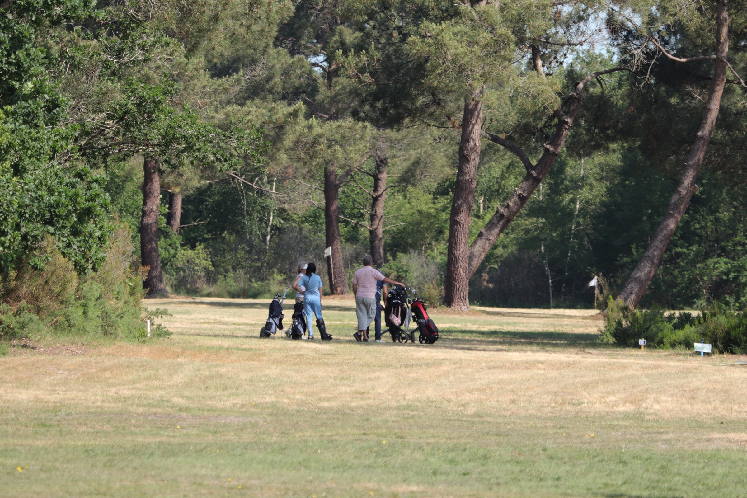 Balata golf practice