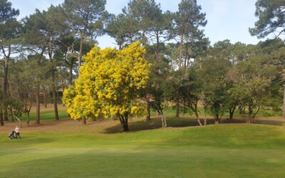 Le golf c’est toute l’année à Balata