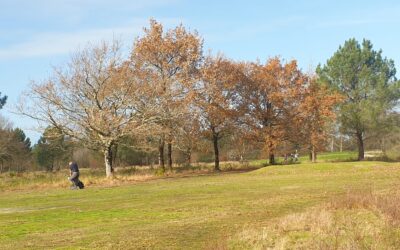 Deuxième étape du Balata Golf Tour à Gujan-Mestras